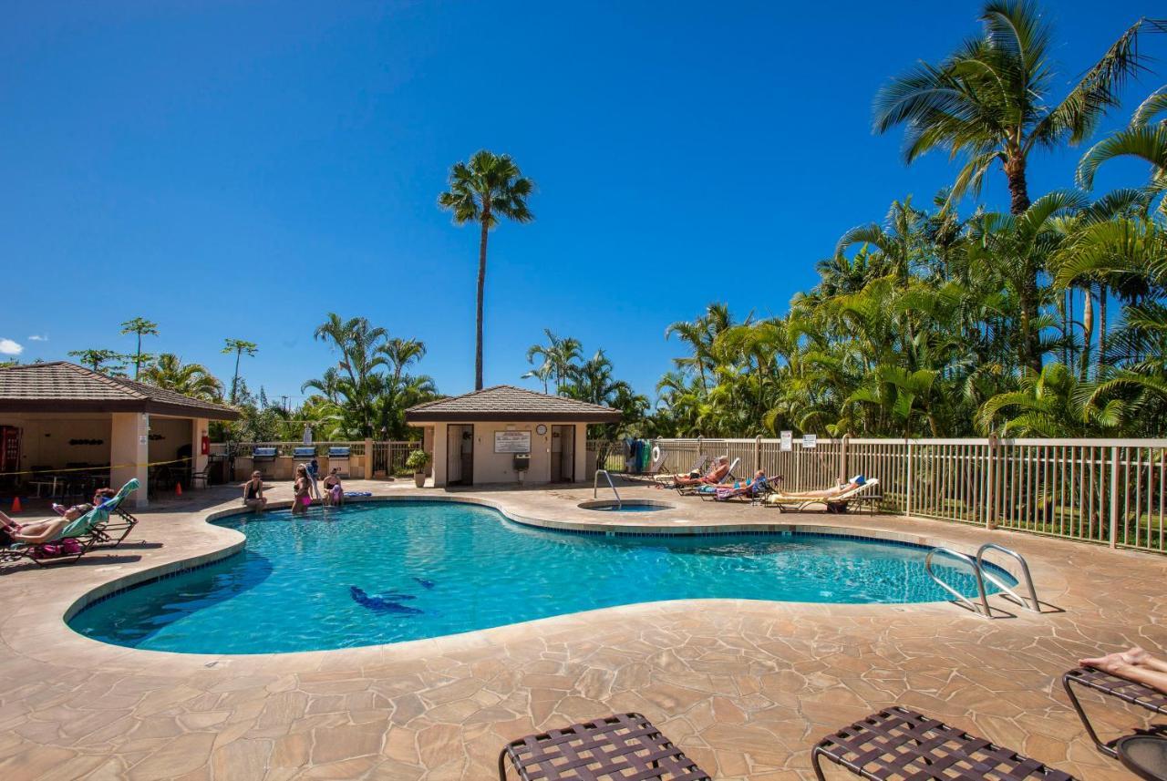 Maui Banyan H311 1Bd 2Ba 3 Min Walk To The Beach In The Heart Of South Kihei! Wailea  Exterior foto